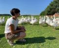 Bild: Gabi Schönberger
Liane Scharf freut sich, als die heute auf der Gänsmühle lebenden Gänse herbei watscheln und sie auf der Wiese umkreisen.