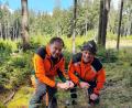 Bild: Forstbetrieb Waldsassen/exb
Gemeinsam mit seinem Mentor ist Forstwirt-Quereinsteiger Johannes Frank im Wald unterwegs. Dort lernt der Bärnauer, wie eine kleine Tanne vor Rehwildverbiss geschützt wird.