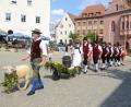 Archivbild: mag
Zum Einholen ihrer Moila ziehen die Woizkirwa-Burschen am Sonntag wieder durch die Sulzbacher Altstadt.