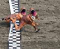 Bild: Lindsey Wasson/AP
Dionte Gilbert (84) springt über die Ziellinie gegen Seth Hirschi während der T-Rex World Championship Races in Emerald Downs.
