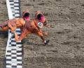 Bild: Lindsey Wasson/AP
Am Ende gab es ein knappes Finish beim T-Rex World Championship Race in Emerald Downs.