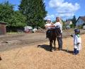 Bild: gi
Kinder spielen im Moosbacher Ferienprogramm Ritter auf einem Pony.
