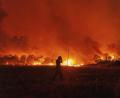 Bild: Achilleas Chiras
Flammen schlagen aus einem Wald während eines Waldbrandes im Dorf Avantas in der Nähe der Stadt Alexandroupolis.
