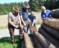 Bild: ubb
Die Förster untersuchen das gestapelte Holz und finden jede Menge Käfer in der Rinde.