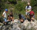 Bild: pop
Mit Feuereifer machen sich die Kinder im Steinbruch auf die Suche nach dem Dinosaurier.