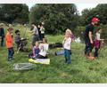 Bild: mma
Hoch her geht es am Kicknweiher.