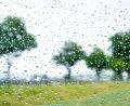 Symbolbild: Hauke-Christian Dittrich/dpa
In den nächsten Tagen ist vermehrt mit Regen und Gewittern zu rechnen. Der Hochsommer ist laut Wetterexperte Andy Neumaier vorbei.