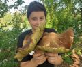Bild: Stefan Hänisch / exb
Maximilian (13) hat diesen Zwillings-Steinpilz an einem Waldweg bei Dießfurt gefunden. Knapp 1,3 Kilogramm brachte dieser Riesenpilz auf die Waage.