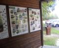 Bild: jba
Die Schautafeln im Pavillon sind ersetzt worden.