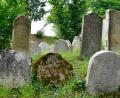 Bild: Petra Hartl
Auf dem Jüdischen Friedhof in Sulzbach-Rosenberg finden sich noch 420 Grabsteine, die im Rahmen eines Projektes größtenteils auch gereinigt wurden.