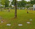 Bild: Portner
Unter den vier Laubbäumen im Friedhof Oberviechtach sind aktuell 21 Baum-Urnengräber gruppiert. Blumen, Kerzen und Engelsfiguren sind auf den Bodenplatten nur vier Wochen nach der Beisetzung erlaubt.