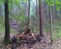 Bild: schß
Im Waldstück „Im langen Schacht“ zwischen Hohenkemnath und Inselsberg hat jemand Müll in eine Doline geworfen.