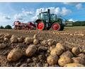 Archivbild: Philipp Schulze/dpa
Landwirte, die ihre Kartoffelfelder während der Trockenphase bewässert haben, können mit dem Ertrag an Frühkartoffeln zufrieden sein. Die späte Ernte wird erst noch eingefahren.