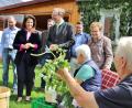 Bild: Thomas Dobler
Ministerin Michaela Kaniber (Zweite von links) freute sich, Zeugin bei Hopfenzupfen im Garten von Kleinbrauer Jürgen Schnellinger zu werden. Hubert Piehler (links) hatte sie hingeführt, Alexander Flierl (Mitte) machte ihren Begleiter beim Rundgang durchs Dorf Irrenlohe.