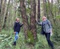 Bild: ck
Forstdirektor Gerhard Hösl und Forstreferendarin Simone Schrenker begutachten im Waldgebiet der "Moosloh" eine Moorbirke.