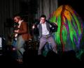 Bild: exb/OVIGO Theater
"Der kleine Horrorladen" - ein abgefahrenes Grusel-Musical
