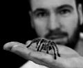 Bild: Insectophobie/exb
Insectophobie