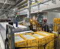 Bild: DHL Group/exb
Eine Mitarbeiterin im Briefzentrum in Amberg sortiert die Wahlunterlagen.