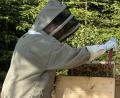 Bild: Reinald Roderer/exb
Neu-Imkerin Ramona Roderer kontrolliert die Bienenstöcke und nimmt die Rahmen mit den Waben aus dem Bienenstock. Die Imker im Verein sind heuer mit der Ausbeute in ihrem Bienenstock zufrieden.
