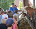 Bild: dob
Landwirt Manfred Bäumler führt die jungen Besucher durch den Stall und erklärt alles über Tierhaltung, Fütterung und Melken sowie die Lebensweise der Tiere, die sich gerne streicheln lassen.