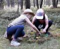 Bild: ct
Sehr kreativ waren die Kinder beim Gestalten eines Waldbildes. .