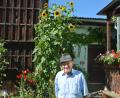 Bild: jr
Josef Scharf freut sich über die hochgewachsenen Sonnenblumen auf seinem Anwesen in Konnersreuth.