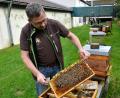 Bild: Petra Hartl
Bernhard Stiegler bildet junge Imkerinnen und Imker an den Bienenstöcken aus.