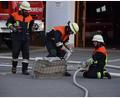 Bild: fla
Beim Aufbau einer Druckleitung vom Verteiler zur Einsatzstelle ist Zusammenarbeit gefragt.
