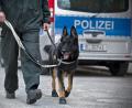 Symbolbild: Jan-Philipp Strobel
Während eines Gesprächs bei der Polizei Eschenbach schlägt der Rauschgifthund an.