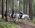 Bild: Daniel Delang/exb
Mit 90 Teilnehmern über alle Veranstaltungen liegt das Bio-Erleben-Programm in diesem Jahr im Mittel. Gut bewährt habe sich der Cowboy-Dienstag, angeführt von Andrea Steinkohl.