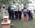 Bild: Imkerverein Pfreimd/exb
Dem Imkerverein Pfreimd ist es immer auch ein großes Anliegen, Kinder an das Hobby der Bienenzucht heranzuführen und somit für Nachwuchs für den Verein zu sorgen.