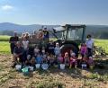 Bild: Kindergarten Dieterskirchen/exb
Kinder des Kindergartens Dieterskirchen helfen bei der Kartoffelernte.