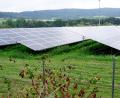 Bild: bkr
In Richtung Park würde „Münch Energie“ eine Solaranlage ausrichten. Hinter einem Grüngürtel sollen die Module verschwinden. Statt Brennnesseln unter den Modulen, wie hier bei einer Anlage in der Gemeinde Immenreuth, könnten Schafe und Hühner gehalten oder Bienenstöcke für die Honigernte aufgestellt werden.