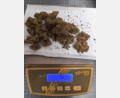 Bild: Bundespolizei 
Further Polizisten fanden in der Brotzeitbox eines 24-Jährigen über 18 Gramm Marihuana.