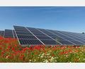 Bild: Südwerk Energie GmbH/exb
So oder so ähnlich könnte der geplante Solarpark in Wernersreuth aussehen. Durchlässige Zäune für Kleintiere sowie angelegte Blühwiesen für Bienen und andere Insekten gehören jedenfalls dazu.