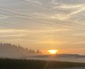 Bild: dob
Noch steigt die Sonne an den lauen Spätsommertagen mit viel Kraft auf. Doch die Nebel wabern schon entlang der Felder und künden den Herbst an.