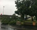 Archivbild: phs
Bei einem Unwetter liegen wie hier in Weiden oft Dutzende von Bäumen auf der Straße. Für Rettungskräfte haben aber Verletzte oder schwerere Schäden Vorrang. Um die Bäume kümmern sich daher zunächst einmal Mitarbeiter einer Kreiseinsatzzentrale.