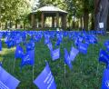 Bild: Stephan Huber
1636 blaue Fähnchen im Rasen des Englischen Gartens in Amberg: Eine Aktion des Amberger Kinderschutzbundes zum Weltkindertag am 20. September.