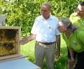 Bild: Hirsch
Vorsitzender Albert Sittl (Mitte) zeigte den Besuchern in einer sogenannten Schaubeute den Teil eines Bienenvolkes mit Königin.