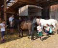 Bild: gi
Mit Begeisterung haben die Mädchen die Ponys mit Fingermalfarben bemalt. Sie hatten sich brav alles über sich ergehen lassen.