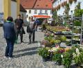 Bild: jr
Überschaubar war am Sonntagnachmittag das Interesse am Mitterteicher Michaeli-Jahrmarkt. Nur wenig Kauflustige strömten durch die Budenstraße, um nach Schnäppchen Ausschau zu halten.