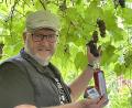 Bild: Klaus Schuster
Traubengelee und Traubenlikör: Das sind nur einige der Produkte, die Klaus Schuster aus dem Saft der Weinbeeren herstellt.