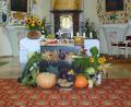 Archivbild: gz
Am Sonntag, 1. Oktober, wird der Altar in der Pfarrkirche Eslarn reichlich mit Garten- und Feldfrüchten, Blumen und Gemüse geschmückt sein.