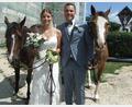 Bild: gm
Die Braut Kristin Nerl ist seit ihrer Kindheit Pferdefreundin. Freunde des Brautpaars brachten völlig überraschend ihre beiden Pferde namens Candeebar und Teasy mit vor die Kirche. Darüber freute sich natürlich auch der Bräutigam Stefan Mehrl.