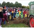 Archivbild: kro
Das "Kartoffelklauben" ist jedes Jahr nicht nur für die Kinder ein Höhepunkt.