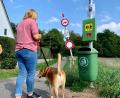 Bild: Gabi Schönberger
Am Merklsteig gehen viele Hundehalter regelmäßig Gassi. Die Stadt hat hier eine Hundestation mit Kotbeuteln und einen Abfalleimer angebracht und weist auf einem Schild darauf hin, dass die Beutel und der Eimer von Hundebesitzern nur im Notfall genutzt werden sollten.