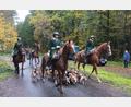 Archivbild: usc
Die Geiseltaler Beagle-Meute, aus Sachsen-Anhalt war voriges Jahr angereist und war ein wichtiger Bestandteil der Kurfürstlichen Schleppjagd.