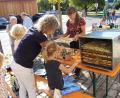 Bild: ds
Kinder helfen mit beim Schneiden von Apfelringen, die anschließend im Elektroofen getrocknet werden.