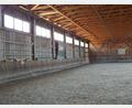 Bild: e
Für die längst fällige Erneuerung der Tretschicht in der Reithalle erhält die RSG Amberg-Köfering von der Gemeinde Kümmersbruck einen Investitionskostenzuschuss von 1957 Euro.