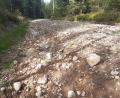 Bild: Riedlbauer/exb
Zum Radfahren ungeeignet - eine Schotterpiste im Wald bei Weiden entlang der B 470.